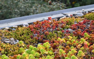 the cost of Wormingford green roof installation