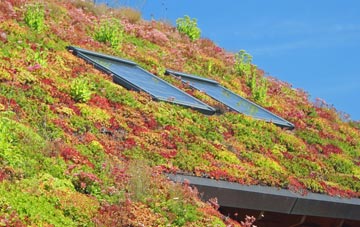 Wormingford living roof systems